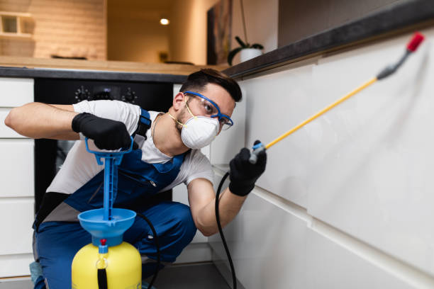 Best Affordable Pest Control Services  in Wilson, AR