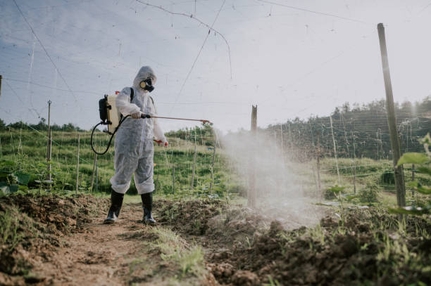 Best Mosquito Control Services  in Wilson, AR