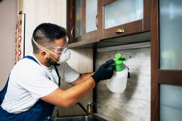 Best Emergency Pest Control  in Wilson, AR