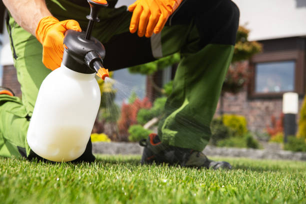 Best Cockroach Control Services  in Wilson, AR