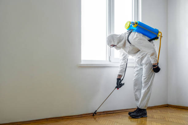 Pest Control Cost in Wilson, AR