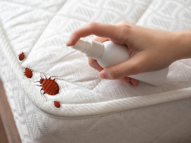 Professional Pest Control in Wilson, AR