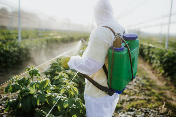 Best Emergency Pest Control  in Wilson, AR